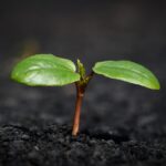 Banking Revolution: How Digital Currencies Are Transforming Your Wallet in 2023