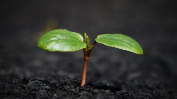 Banking Revolution: How Digital Currencies Are Transforming Your Wallet in 2023